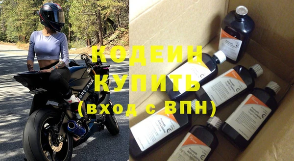 индика Горно-Алтайск
