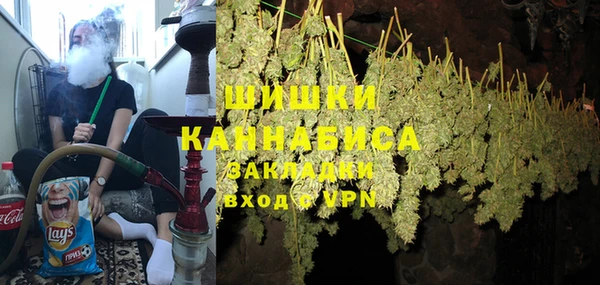 дмт Горнозаводск