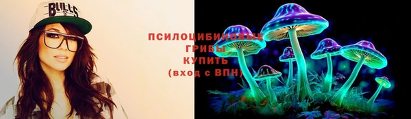 индика Горно-Алтайск