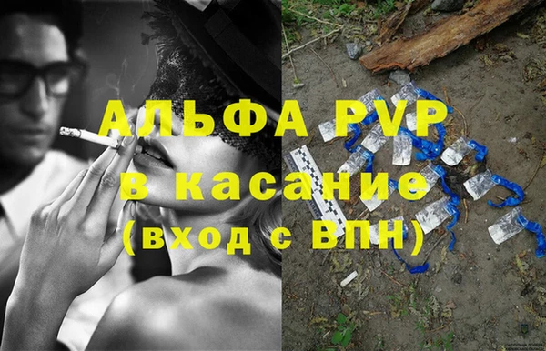 индика Горно-Алтайск