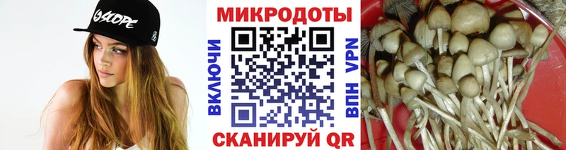 Псилоцибиновые грибы Cubensis  Тюмень 